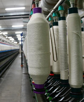 Textile Plant