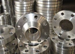 Alloy 20 Flanges