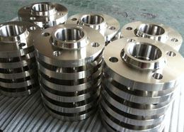 Hastelloy Flanges